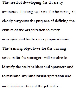 Diversity Awareness Training Session